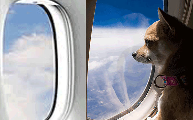 767471729.gif 067aa24b861f6f1d98b58ed3d97f62b6