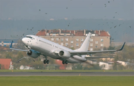 Chi 1000 tỷ đồng đuổi chim ở sân bay: Dân chịu thiệt nhưng chưa chắc được hưởng lợi - Ảnh 1 1 138417